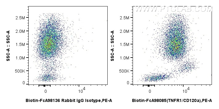 Flow cytometry (FC) experiment of human peripheral blood leukocytes using FcZero-rAb® Biotin Anti-Human TNFR1/CD120a Rabbit  (Biotin-FcA98085)