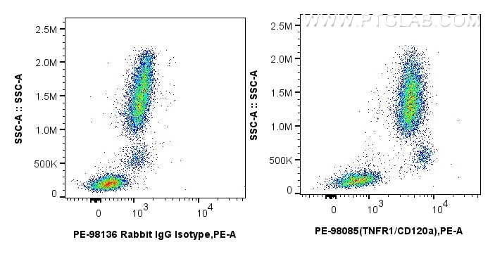 FC experiment of human peripheral blood leukocyte using PE-98085 Flow cytometry (FC) experiment of human peripheral blood leukocyte using PE Anti-Human TNFR1/CD120a Rabbit Recombinant Anti (PE-98085)
