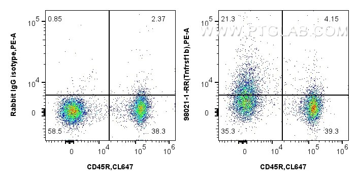 Flow cytometry (FC) experiment of mouse splenocytes using Anti-Mouse TNFR2/CD120b Rabbit Recombinant Antibod (98021-1-RR)