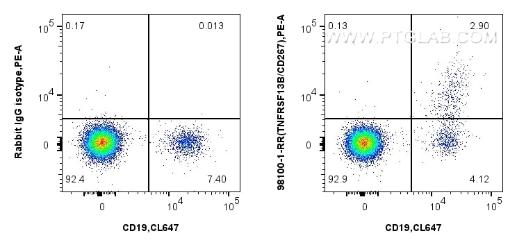 Flow cytometry (FC) experiment of human PBMCs using Anti-Human TNFRSF13B/CD267 Rabbit Recombinant Anti (98100-1-RR)
