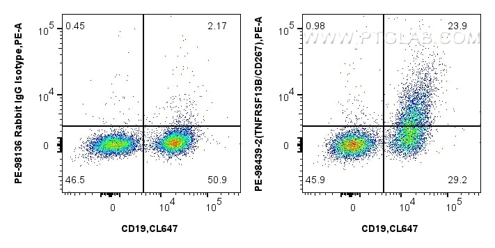 FC experiment of mouse splenocytes using PE-98439-2 Flow cytometry (FC) experiment of mouse splenocytes using PE Anti-Mouse TNFRSF13B/CD267 Rabbit Recombinant A (PE-98439-2)
