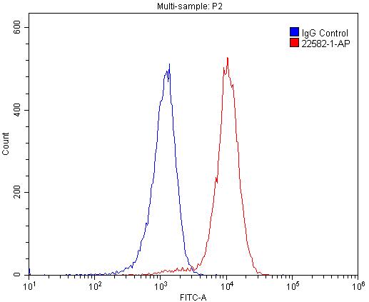 FC experiment of Raji using 22582-1-AP