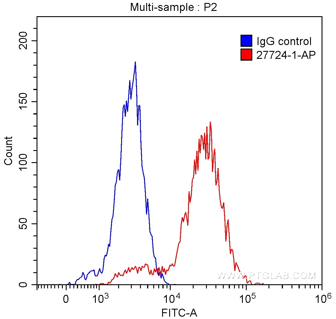 Flow cytometry (FC) experiment of Daudi cells using TNFRSF17 Polyclonal antibody (27724-1-AP)
