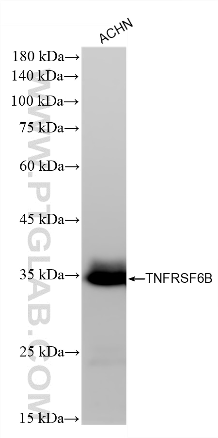 87840-1-RR