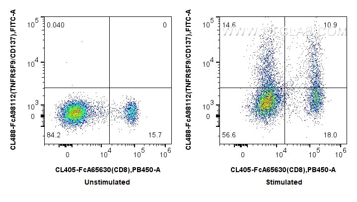 FC experiment of human PBMCs using CL488-FcA98112 Flow cytometry (FC) experiment of human PBMCs using FcZero-rAb® CoraLite® Plus 488 Anti-Human TNFRSF9/ (CL488-FcA98112)
