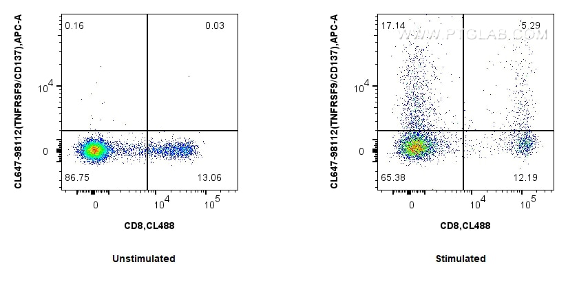 1x10^6 untreated or Con-A treated human PBMCs were surface stained with CoraLite® Plus 488 Anti-Human CD8 (UCHT4) Mouse IgG2a Recombinant Antibody (CL488-65559, Clone: UCHT4) and 5 ul Plus 647 Anti-Human TNFRSF9/CD137 Rabbit RecAb (CL647-98112, Clone: 241344F3). Cells were not fixed. Flow cytometry (FC) experiment of human PBMCs using CoraLite® Plus 647 Anti-Human TNFRSF9/CD137 Rabbit (CL647-98112)