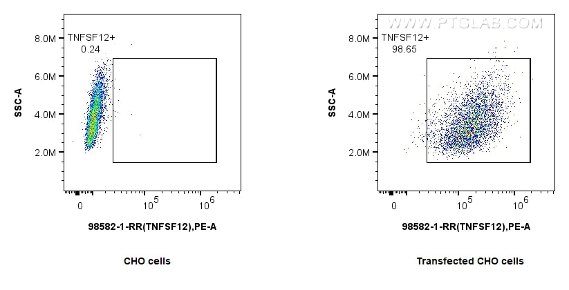 FC experiment of Transfected CHO using 98582-1-RR (same clone as 98582-1-PBS) Flow cytometry (FC) experiment of Transfected CHO using Anti-Human TNFSF12 Rabbit Recombinant Antibody (98582-1-RR)