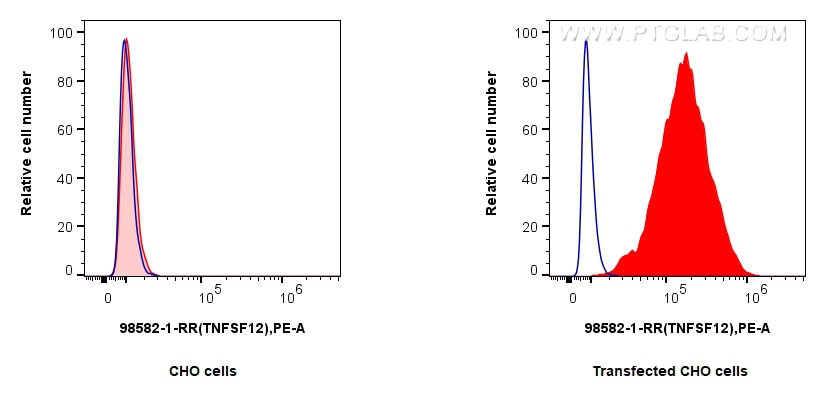 FC experiment of Transfected CHO using 98582-1-RR (same clone as 98582-1-PBS) Flow cytometry (FC) experiment of Transfected CHO using Anti-Human TNFSF12 Rabbit Recombinant Antibody (98582-1-RR)