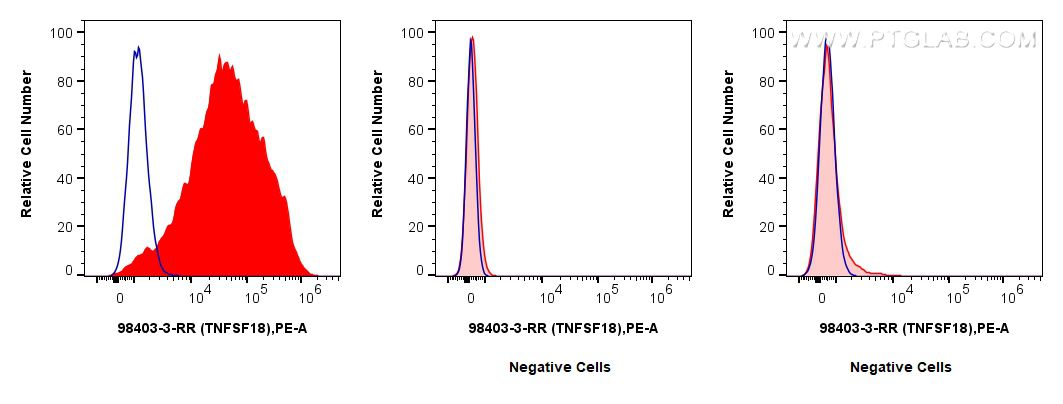 Flow cytometry (FC) experiment of HUVEC cells using Anti-Human TNFSF18 Rabbit Recombinant Antibody (98403-3-RR)