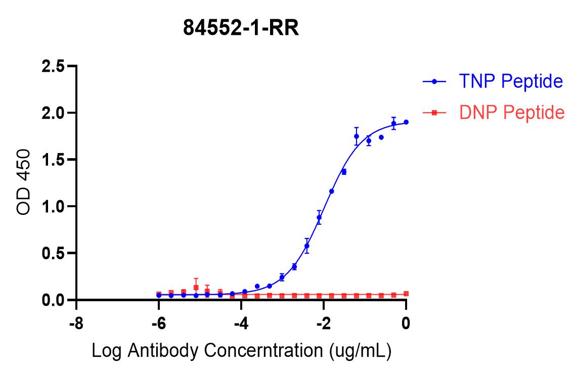 ELISA experiment of peptide using TNP Recombinant antibody (84552-1-RR)