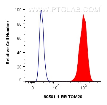 Flow cytometry (FC) experiment of HeLa cells using TOM20 Recombinant monoclonal antibody (80501-1-RR)