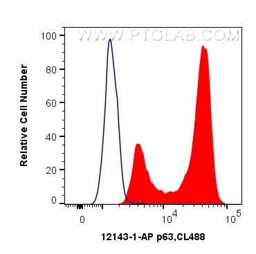 Flow cytometry (FC) experiment of A431 cells using p63 Polyclonal antibody (12143-1-AP)