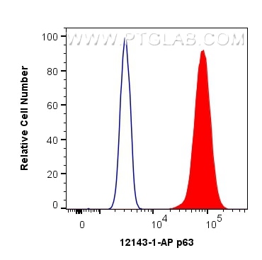 Flow cytometry (FC) experiment of A431 cells using p63 Polyclonal antibody (12143-1-AP)