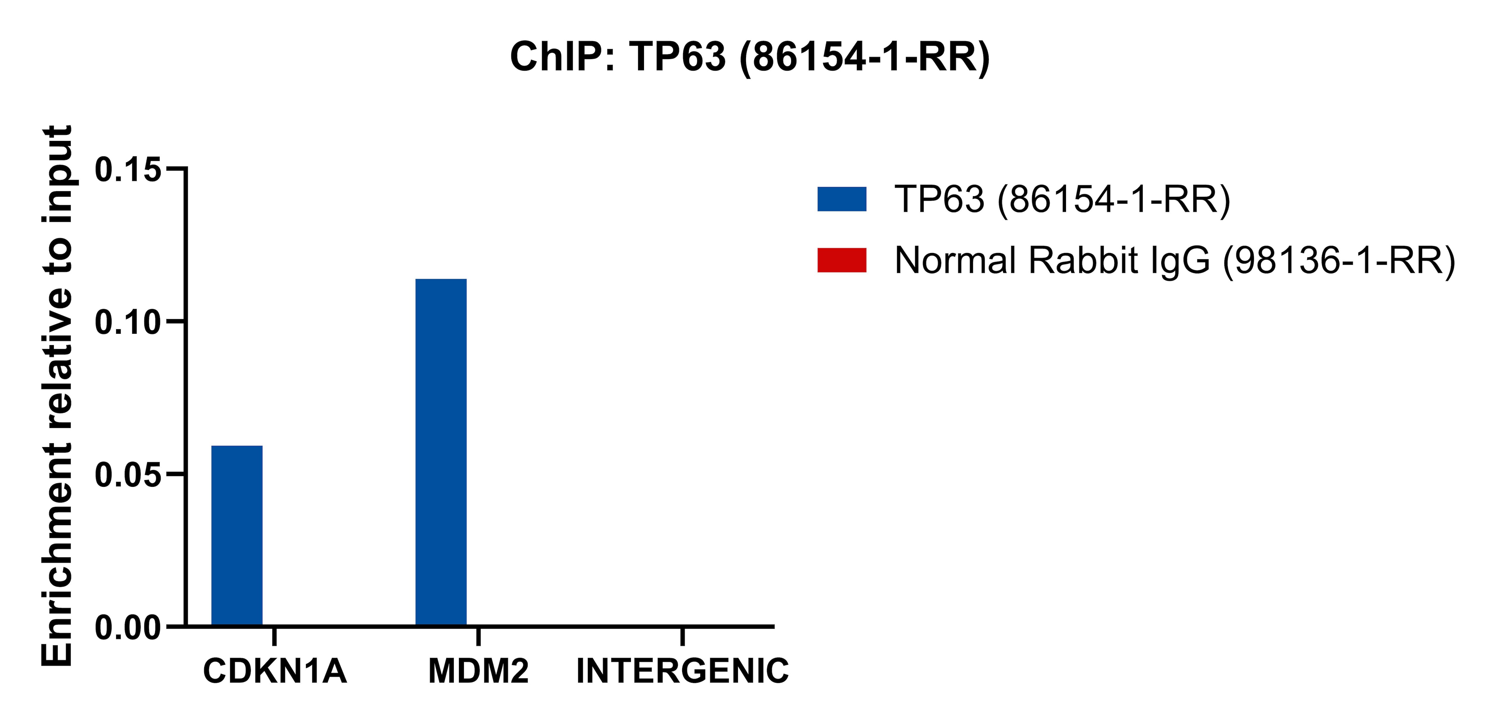 Chromatin was prepared from HaCaT cells. Cells were fixed with formaldehyde for 10 minutes. The ChIP was performed with 20 µg of cross-linked chromatin, 5 µg of TP63 (86154-1-RR) or 5 ug of Normal Rabbit IgG (98136-1-RR), and 20 µl of Protein A Magarose Beads. The immunoprecipitated DNA was quantified by real-time PCR. ChIP experiment of HaCaT cells using TP63 Recombinant monoclonal antibody (86154-1-RR)