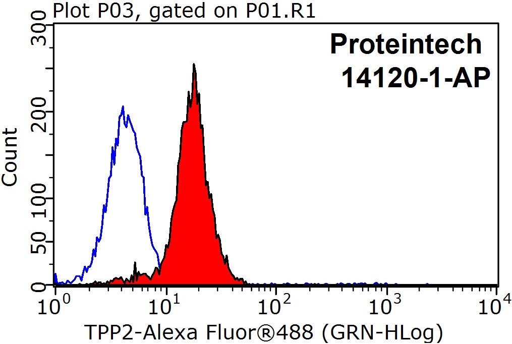 Flow cytometry (FC) experiment of HepG2 cells using TPPII Polyclonal antibody (14120-1-AP)