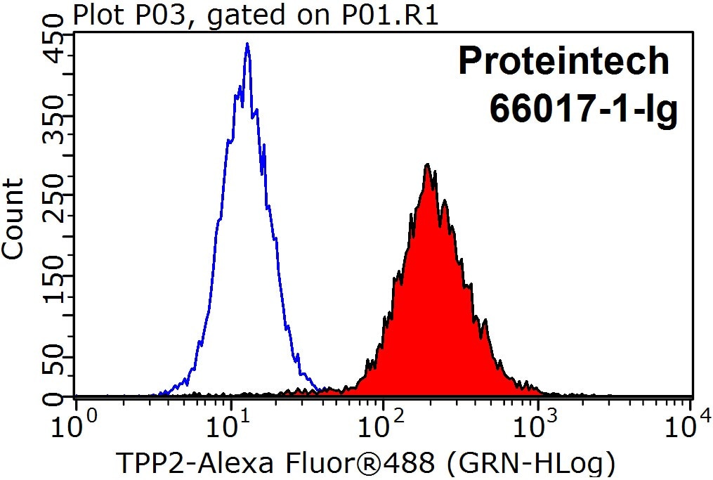 Flow cytometry (FC) experiment of HeLa cells using TPPII Monoclonal antibody (66017-1-Ig)