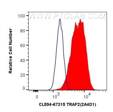 Flow cytometry (FC) experiment of HeLa cells using CoraLite®594-conjugated TRAF2 Monoclonal antibody (CL594-67315)