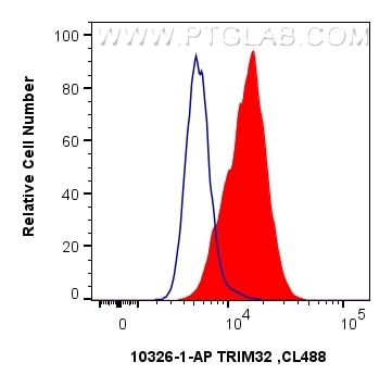 Flow cytometry (FC) experiment of A431 cells using TRIM32 Polyclonal antibody (10326-1-AP)