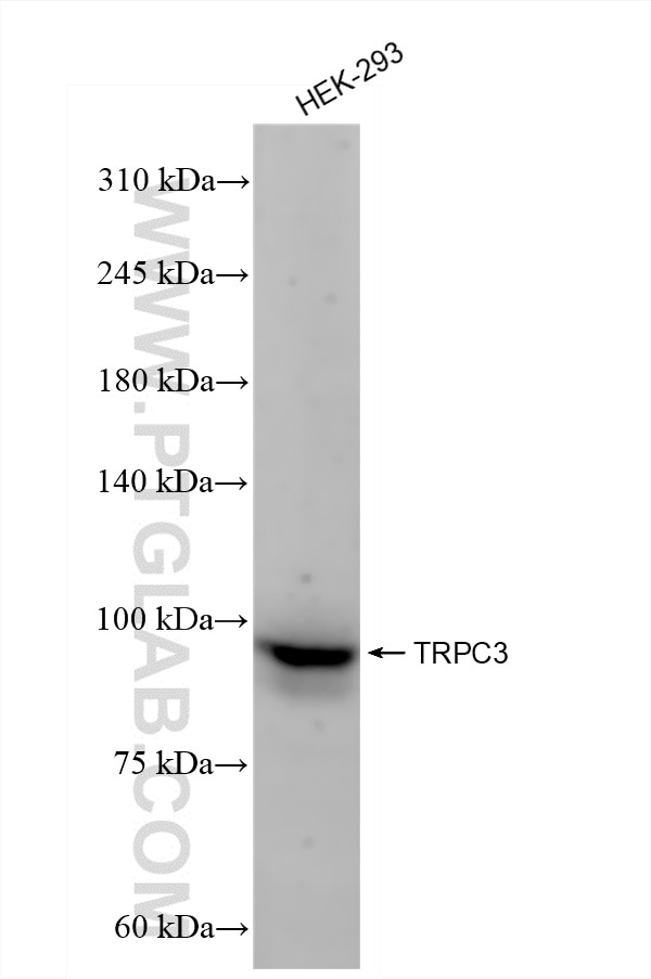 TRPC3