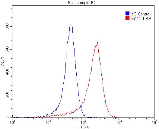 Flow cytometry (FC) experiment of SH-SY5Y cells using TRPM1 Polyclonal antibody (55111-1-AP)