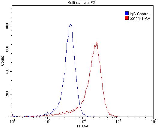 FC experiment of SH-SY5Y using 55111-1-AP