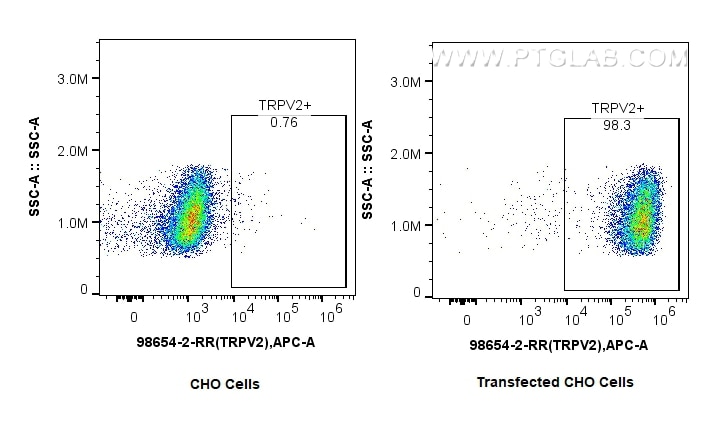 Flow cytometry (FC) experiment of CHO cells using Anti-Human TRPV2 Rabbit Recombinant Antibody (98654-2-RR)