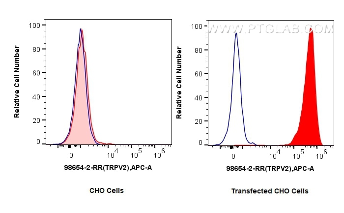 Flow cytometry (FC) experiment of CHO cells using Anti-Human TRPV2 Rabbit Recombinant Antibody (98654-2-RR)