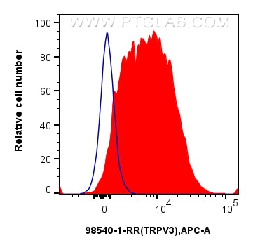 Flow cytometry (FC) experiment of SH-SY5Y cells using Anti-Human TRPV3 Rabbit Recombinant Antibody (98540-1-RR)