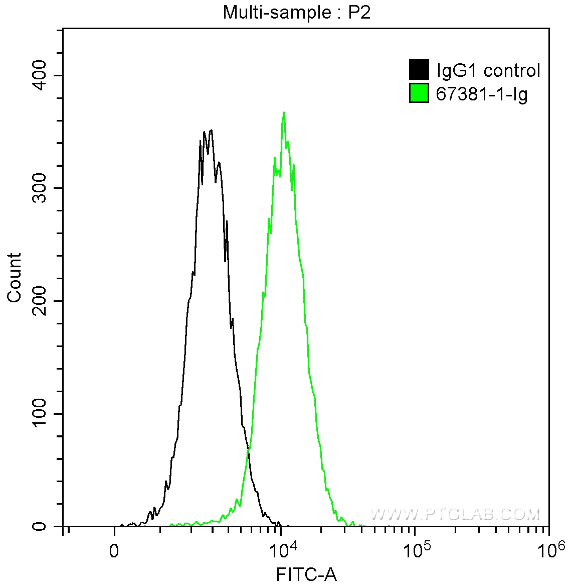 FC experiment of HeLa using 67381-1-Ig