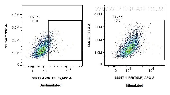 Flow cytometry (FC) experiment of HUVEC cells using Anti-Human TSLP Rabbit Recombinant Antibody (98247-1-RR)