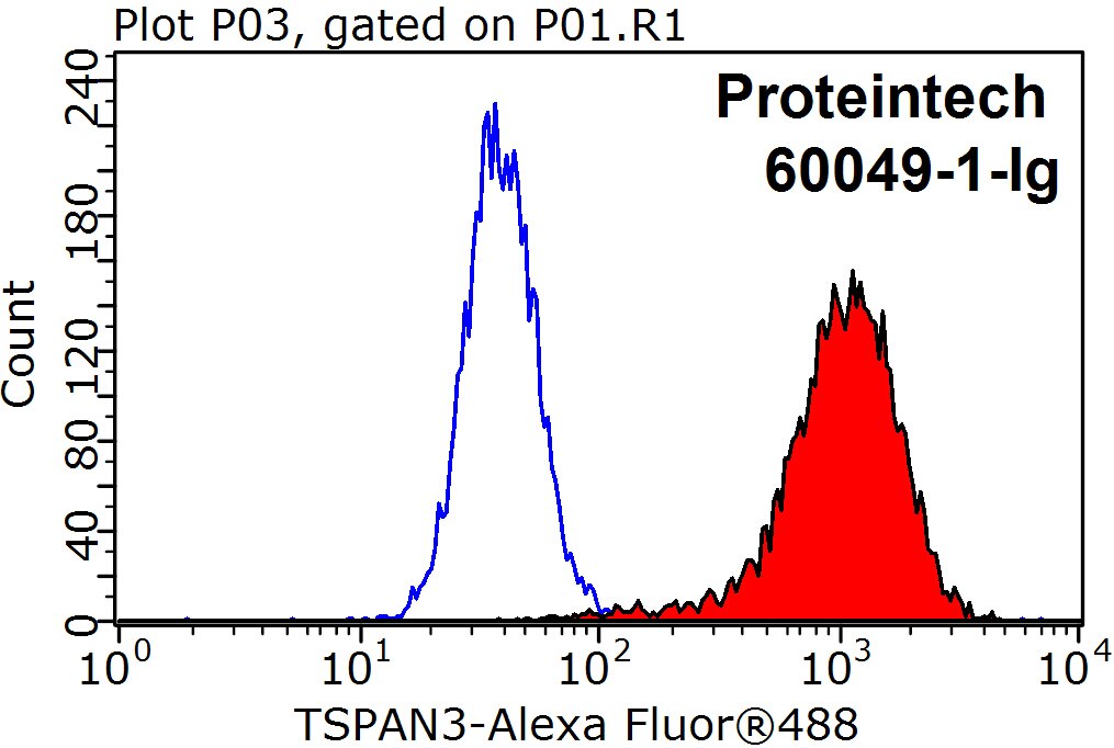 TSPAN3 Monoclonal antibody