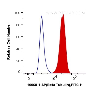 Flow cytometry (FC) experiment of HeLa cells using Beta Tubulin Polyclonal antibody (10068-1-AP)