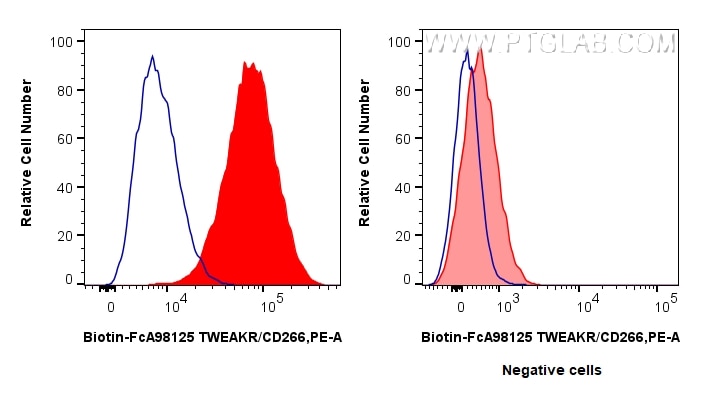 FC experiment of HT-1080 using Biotin-FcA98125 Flow cytometry (FC) experiment of HT-1080 cells using FcZero-rAb® Biotin Anti-Human TWEAKR/CD266 Rabbit (Biotin-FcA98125)