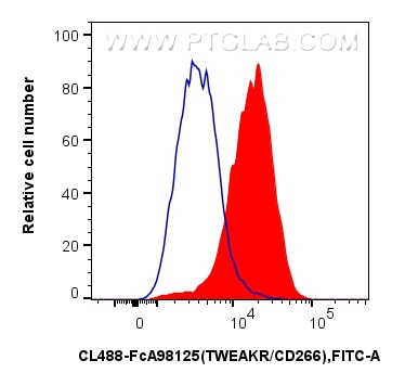 FC experiment of HT-1080 using CL488-FcA98125 Flow cytometry (FC) experiment of HT-1080 cells using FcZero-rAb® CoraLite® Plus 488 Anti-Human TWEAKR/C (CL488-FcA98125)