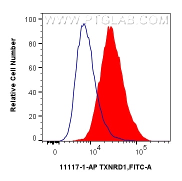 FC experiment of HeLa using 11117-1-AP Flow cytometry (FC) experiment of HeLa cells using TXNRD1 Polyclonal antibody (11117-1-AP)