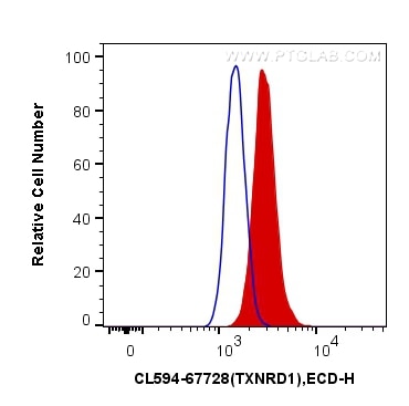 Flow cytometry (FC) experiment of HeLa cells using CoraLite®594-conjugated TXNRD1 Monoclonal antibody (CL594-67728)