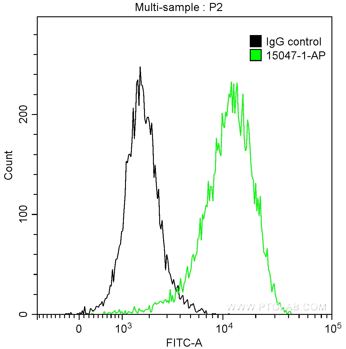 Flow cytometry (FC) experiment of HeLa cells using Thymidylate synthase Polyclonal antibody (15047-1-AP)