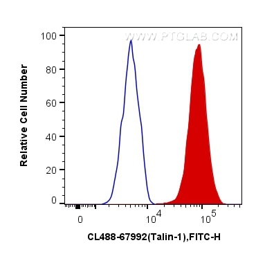 Flow cytometry (FC) experiment of HeLa cells using CoraLite® Plus 488-conjugated Talin-1 Monoclonal a (CL488-67992)