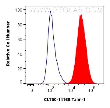 Flow cytometry (FC) experiment of HeLa cells using CoraLite® Plus 750-conjugated Talin-1 Polyclonal a (CL750-14168)