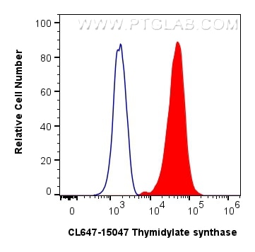 Flow cytometry (FC) experiment of HeLa cells using CoraLite® Plus 647-conjugated Thymidylate synthase (CL647-15047)