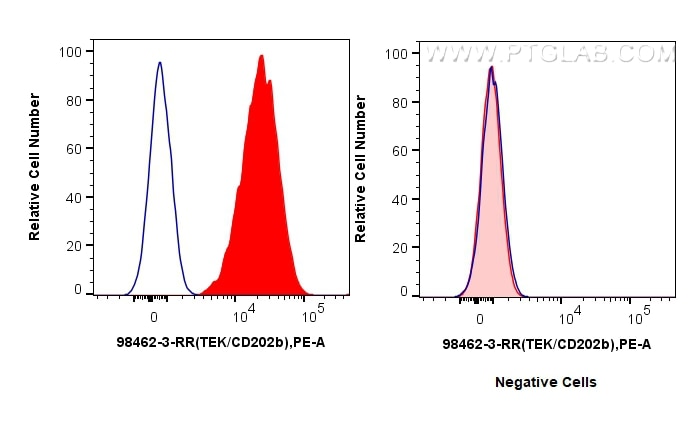 Flow cytometry (FC) experiment of HUVEC cells using Anti-Human Tie-2/CD202b Rabbit Recombinant Antibod (98462-3-RR)