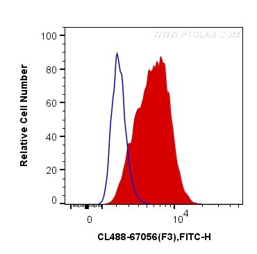 Tissue factor