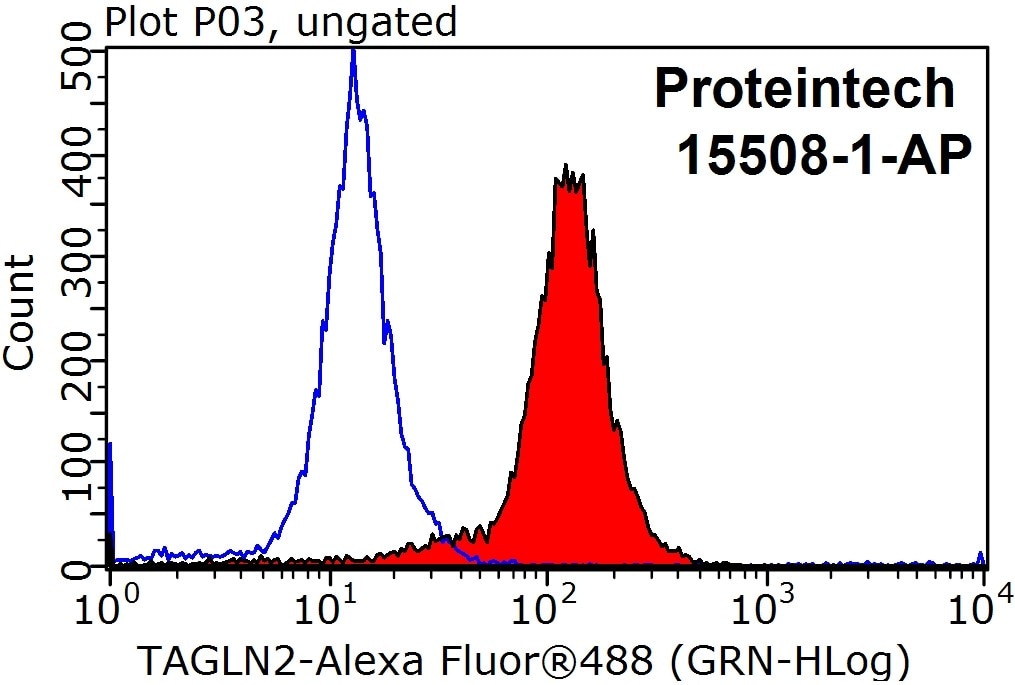 Flow cytometry (FC) experiment of HepG2 cells using Transgelin-2-specific Polyclonal antibody (15508-1-AP)