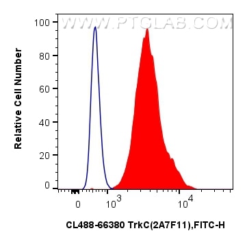 Flow cytometry (FC) experiment of SH-SY5Y cells using CoraLite® Plus 488-conjugated TrkC Monoclonal anti (CL488-66380)