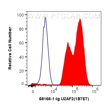 Flow cytometry (FC) experiment of HEK-293 cells using U2AF2 Monoclonal antibody (68166-1-Ig)