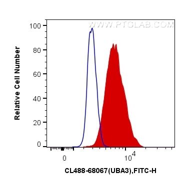 Flow cytometry (FC) experiment of HeLa cells using CoraLite® Plus 488-conjugated UBA3 Monoclonal anti (CL488-68067)