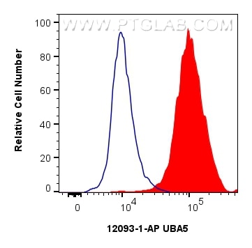 Flow cytometry (FC) experiment of HeLa cells using UBA5 Polyclonal antibody (12093-1-AP)