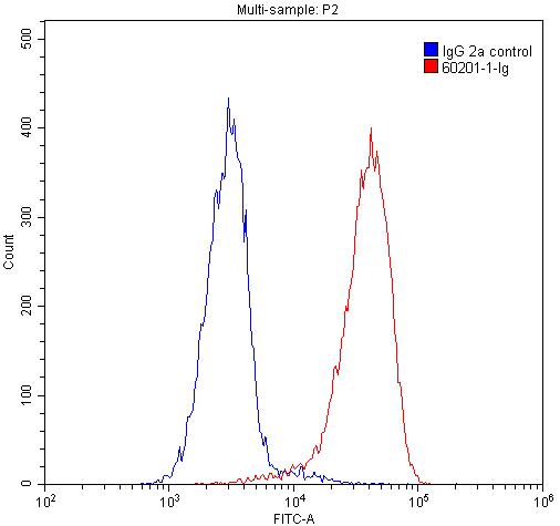 Flow cytometry (FC) experiment of Jurkat cells using UBC9 Monoclonal antibody (60201-1-Ig)