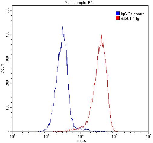 FC experiment of Jurkat using 60201-1-Ig