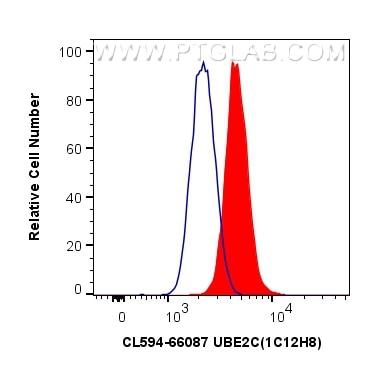 Flow cytometry (FC) experiment of HeLa cells using CoraLite®594-conjugated UBE2C Monoclonal antibody (CL594-66087)